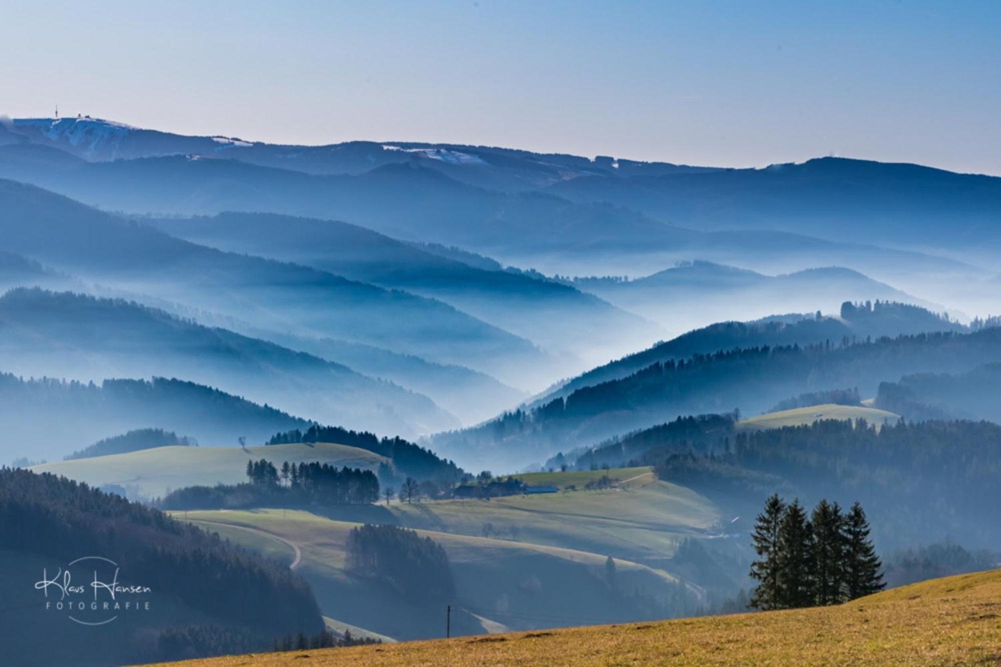 Apartment 13 - Ferienresidenz Roseneck, Mit Schwimmbad In Todtnauberg Bei Feldberg Dış mekan fotoğraf