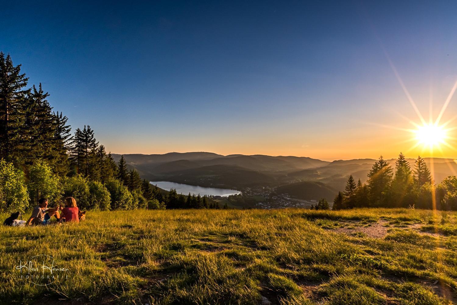 Apartment 13 - Ferienresidenz Roseneck, Mit Schwimmbad In Todtnauberg Bei Feldberg Dış mekan fotoğraf
