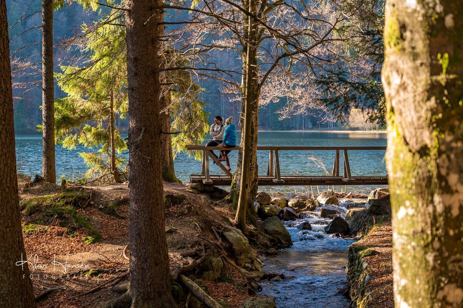 Apartment 13 - Ferienresidenz Roseneck, Mit Schwimmbad In Todtnauberg Bei Feldberg Dış mekan fotoğraf
