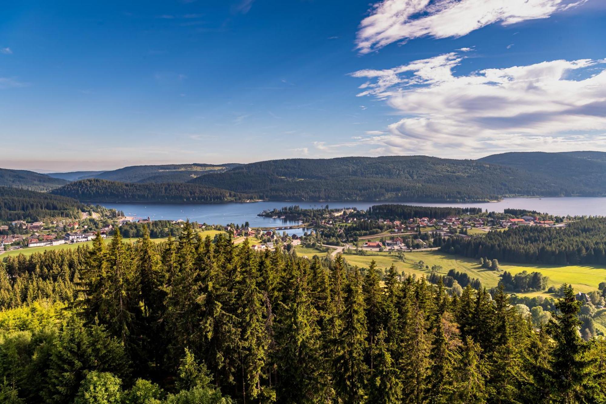 Apartment 13 - Ferienresidenz Roseneck, Mit Schwimmbad In Todtnauberg Bei Feldberg Dış mekan fotoğraf