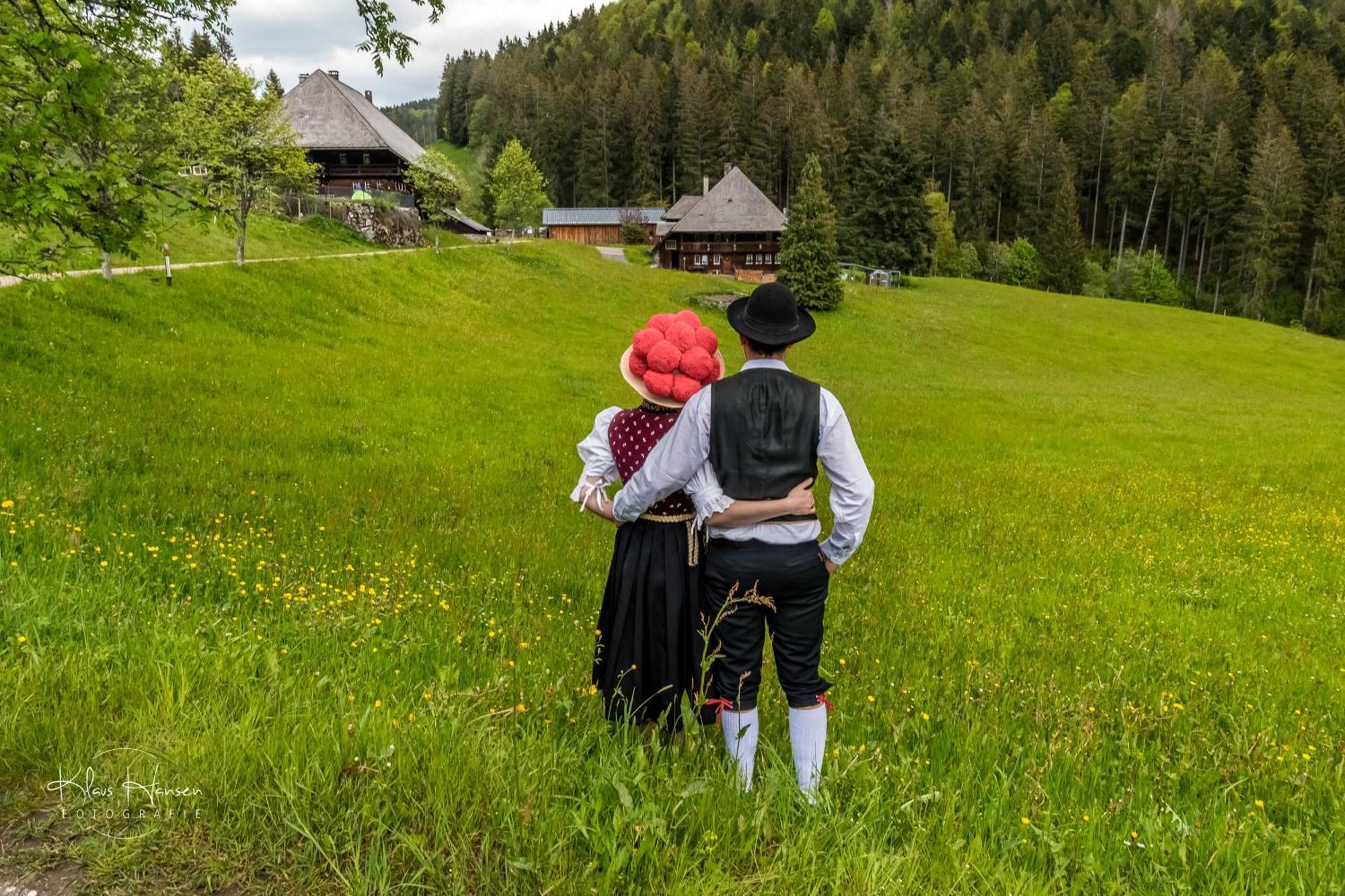 Apartment 13 - Ferienresidenz Roseneck, Mit Schwimmbad In Todtnauberg Bei Feldberg Dış mekan fotoğraf