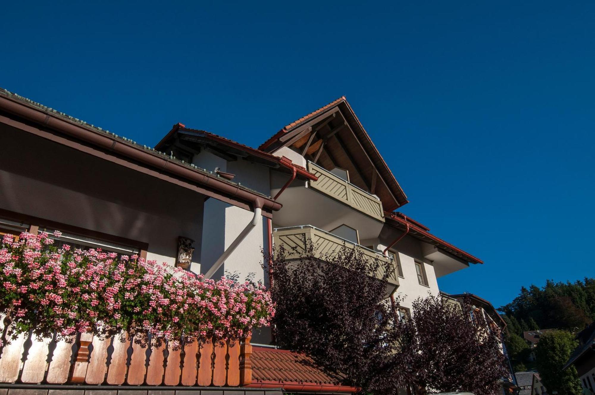 Apartment 13 - Ferienresidenz Roseneck, Mit Schwimmbad In Todtnauberg Bei Feldberg Dış mekan fotoğraf