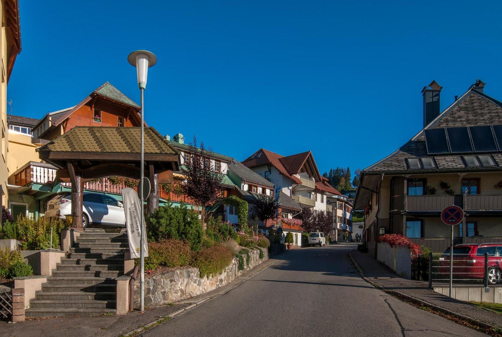Apartment 13 - Ferienresidenz Roseneck, Mit Schwimmbad In Todtnauberg Bei Feldberg Dış mekan fotoğraf