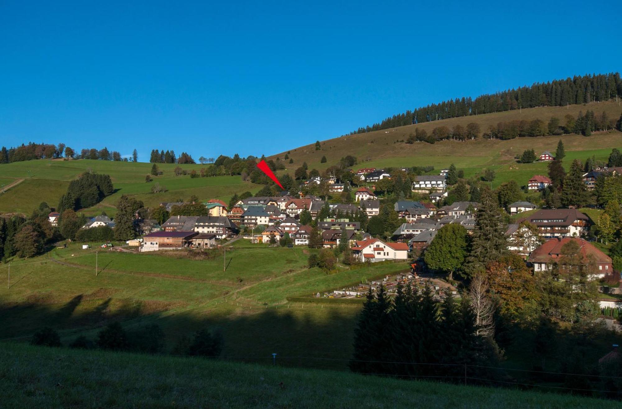 Apartment 13 - Ferienresidenz Roseneck, Mit Schwimmbad In Todtnauberg Bei Feldberg Dış mekan fotoğraf
